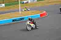 Vintage-motorcycle-club;eventdigitalimages;mallory-park;mallory-park-trackday-photographs;no-limits-trackdays;peter-wileman-photography;trackday-digital-images;trackday-photos;vmcc-festival-1000-bikes-photographs